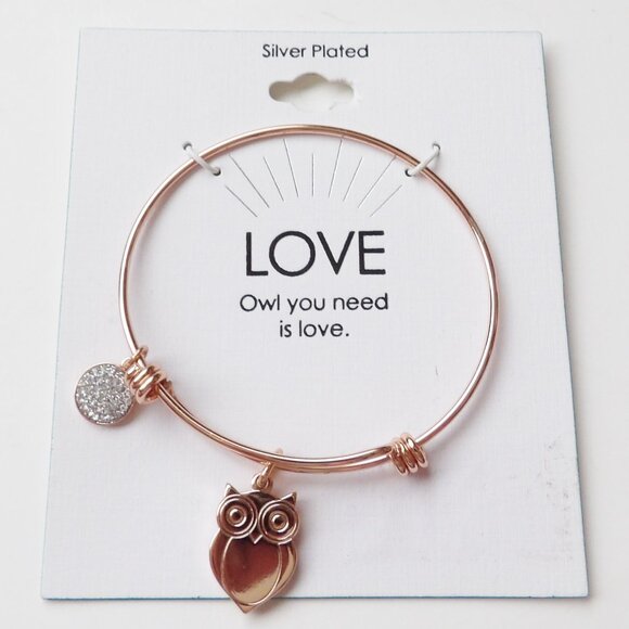 OWL You Need is Love Adjustable Copper Colored Charm Bracelet Silver Plated NEW - Picture 1 of 3